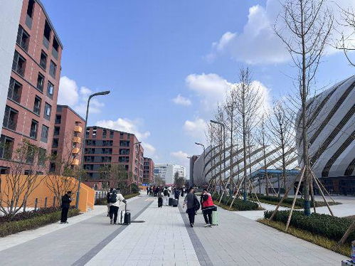 首批近1700名師生到校 中國(guó)民用航空飛行學(xué)院天府校區(qū)在成都未來科技城正式投用